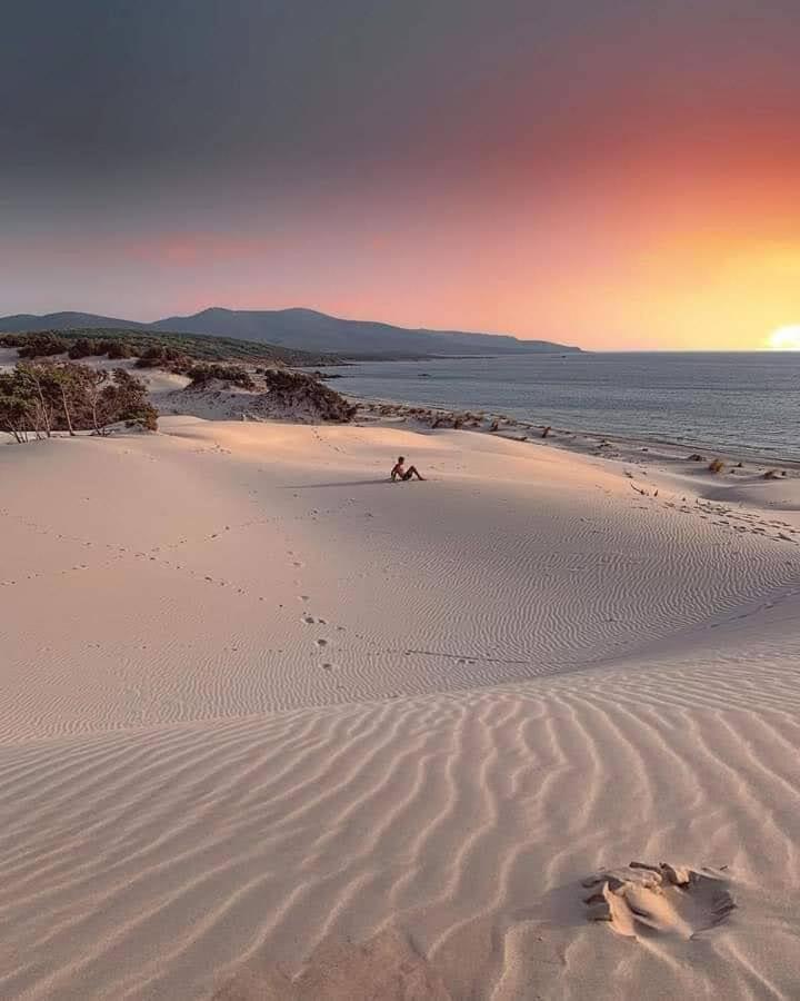 Case Vacanze Il Sogno 2 Porto Pino Habitación foto
